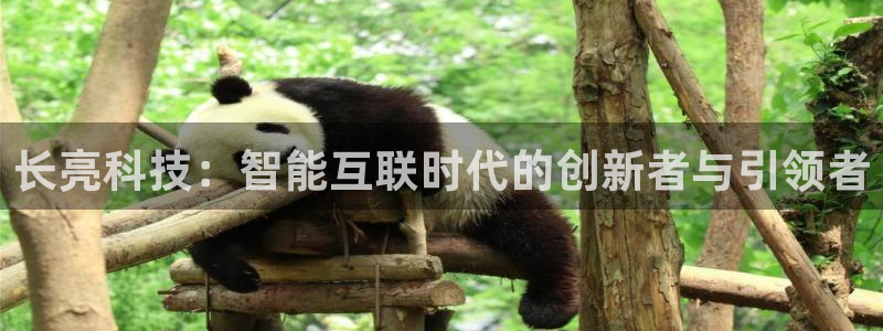 长亮科技：智能互联时代的创新者与引领者
