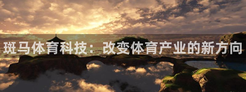 斑马体育科技：改变体育产业的新方向