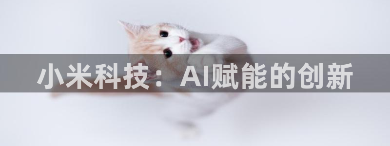 小米科技：AI赋能的创新