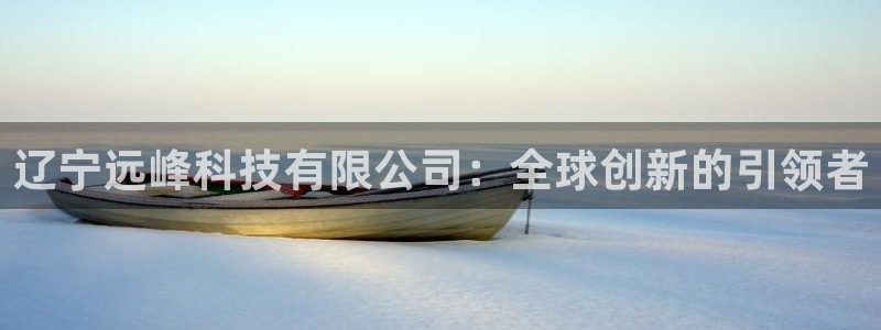 辽宁远峰科技有限公司：全球创新的引领者