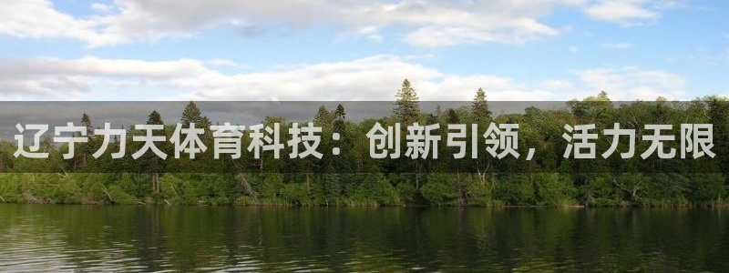 辽宁力天体育科技：创新引领，活力无限