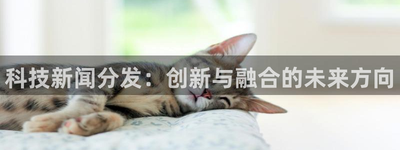 科技新闻分发：创新与融合的未来方向