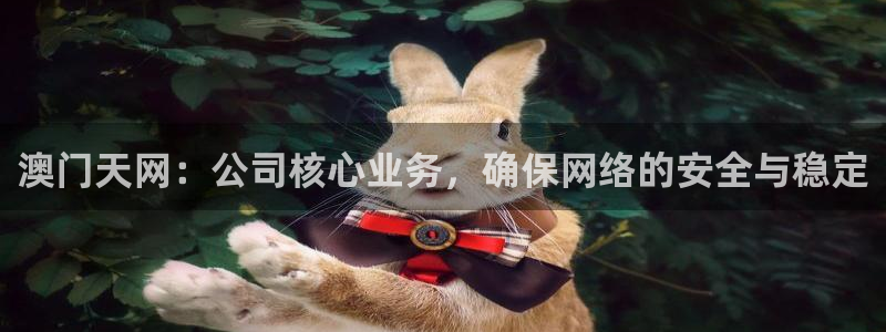 澳门天网：公司核心业务，确保网络的安全与稳定