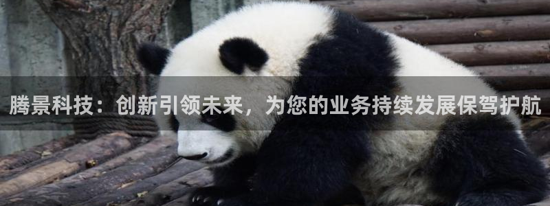 腾景科技：创新引领未来，为您的业务持续发展保驾护航