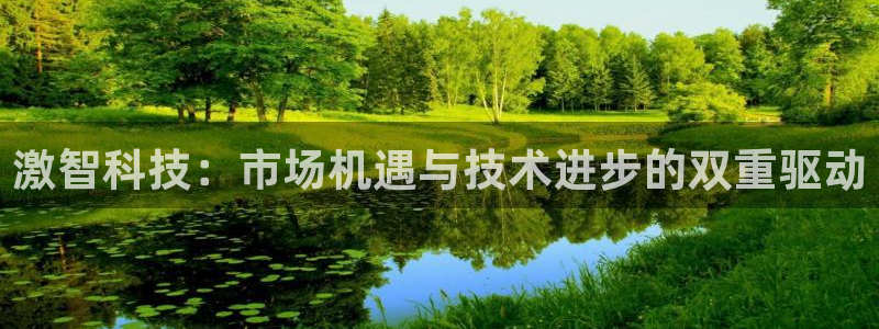 激智科技：市场机遇与技术进步的双重驱动