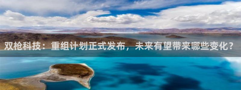双枪科技：重组计划正式发布，未来有望带来哪些变化？