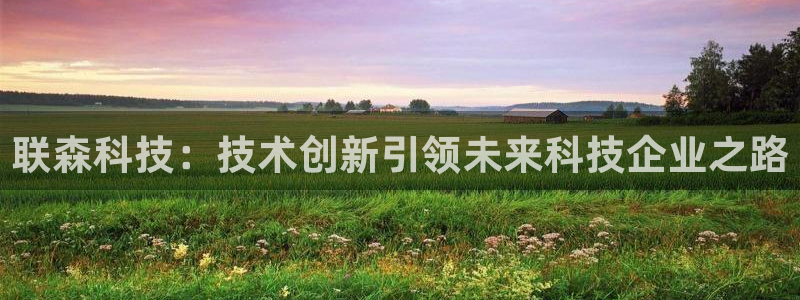 联森科技：技术创新引领未来科技企业之路