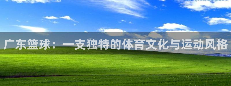 广东篮球：一支独特的体育文化与运动风格