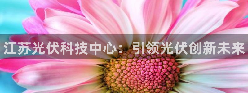 江苏光伏科技中心：引领光伏创新未来