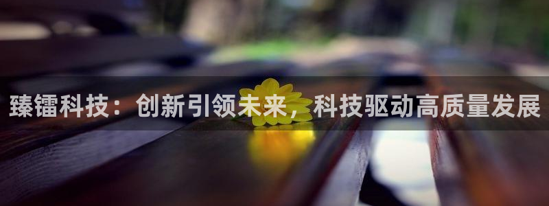 臻镭科技：创新引领未来，科技驱动高质量发展
