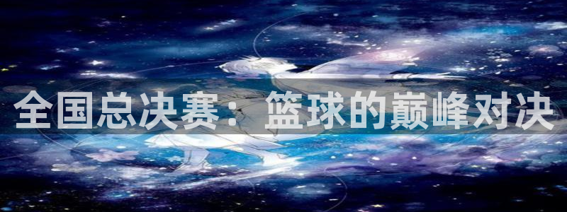 全国总决赛：篮球的巅峰对决
