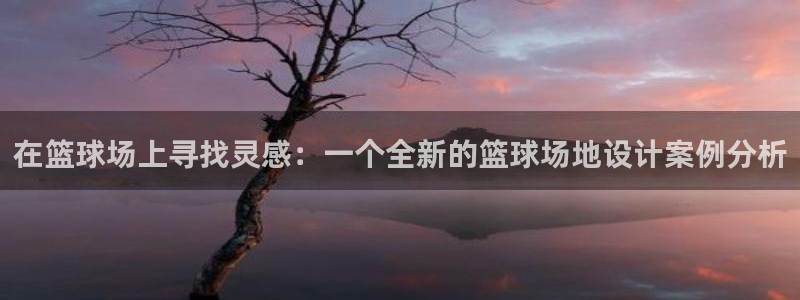 在篮球场上寻找灵感：一个全新的篮球场地设计案例分析