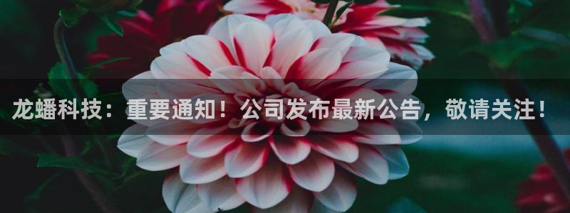 龙蟠科技：重要通知！公司发布最新公告，敬请关注！