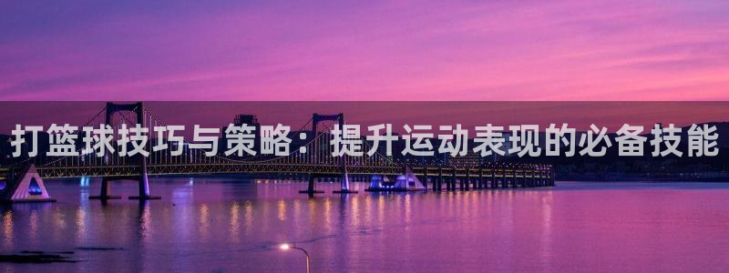 打篮球技巧与策略：提升运动表现的必备技能